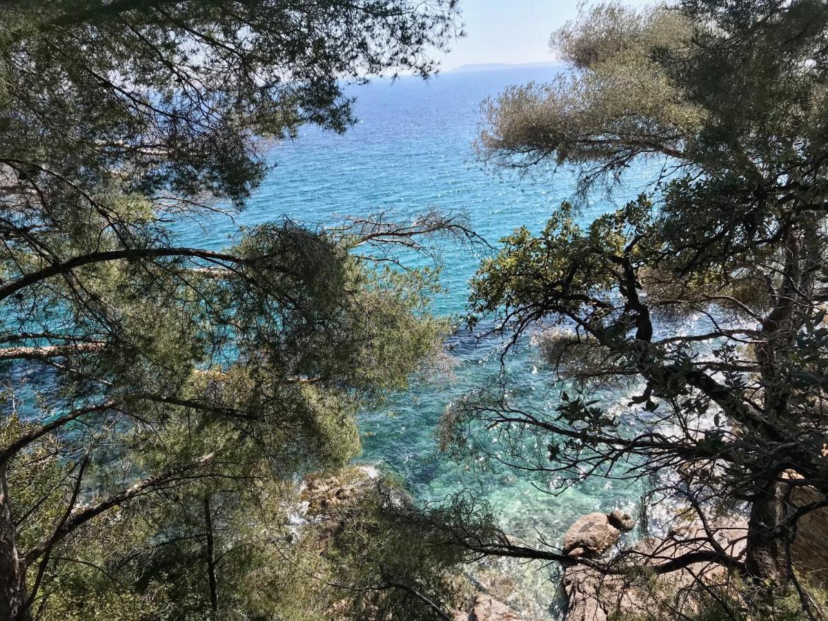 Villa Les Alizes Rayol-Canadel-sur-Mer Exterior photo