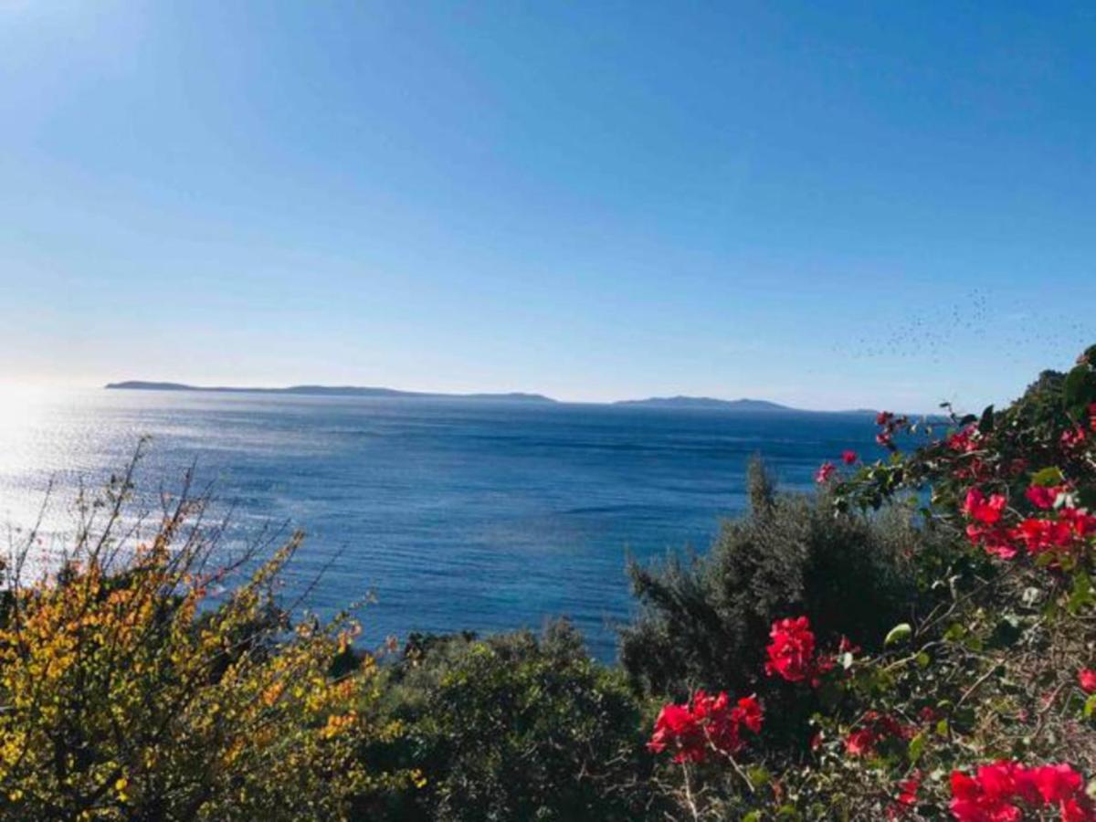 Villa Les Alizes Rayol-Canadel-sur-Mer Exterior photo