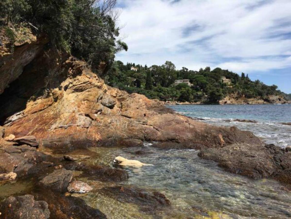 Villa Les Alizes Rayol-Canadel-sur-Mer Exterior photo