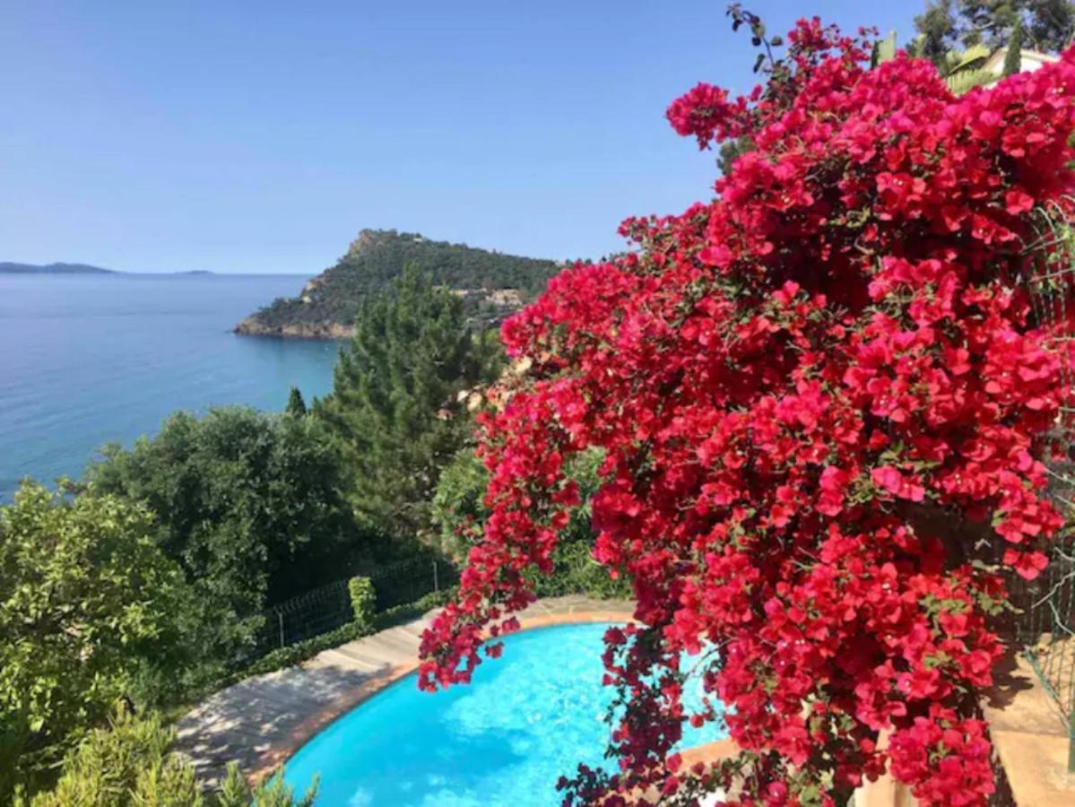 Villa Les Alizes Rayol-Canadel-sur-Mer Exterior photo