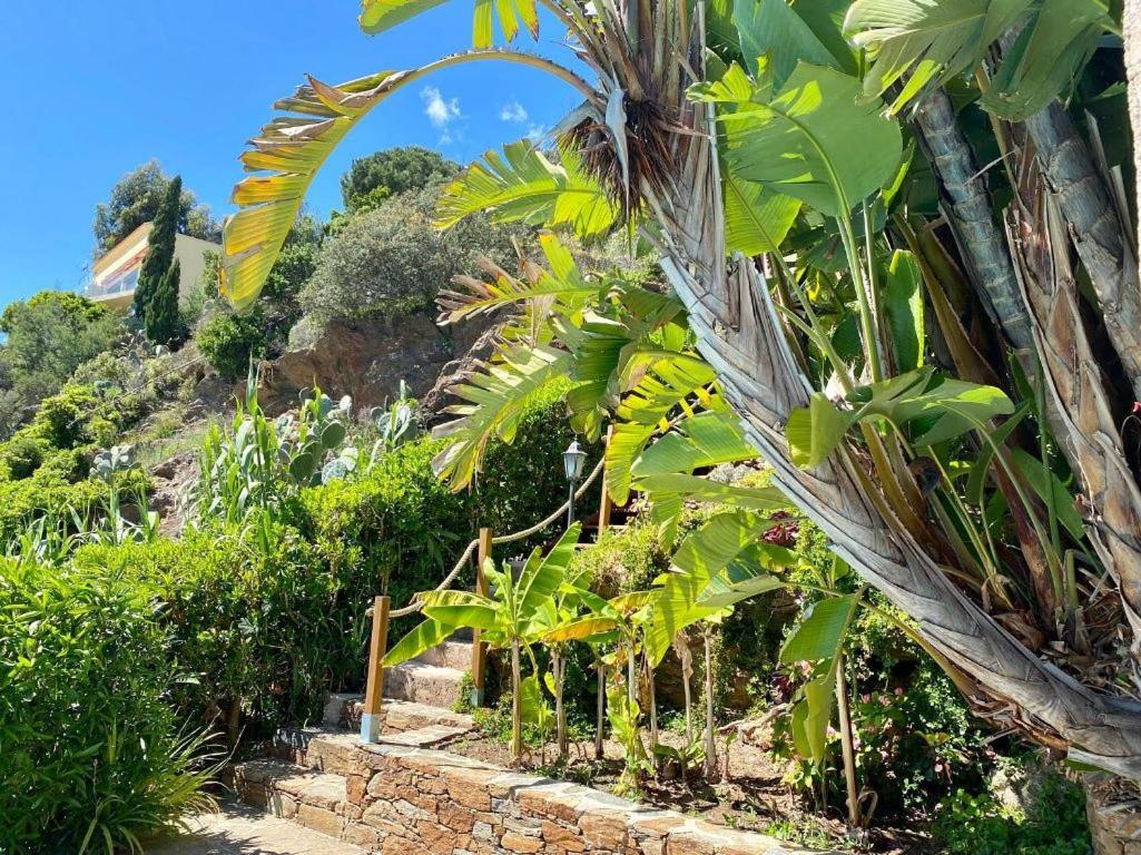 Villa Les Alizes Rayol-Canadel-sur-Mer Exterior photo