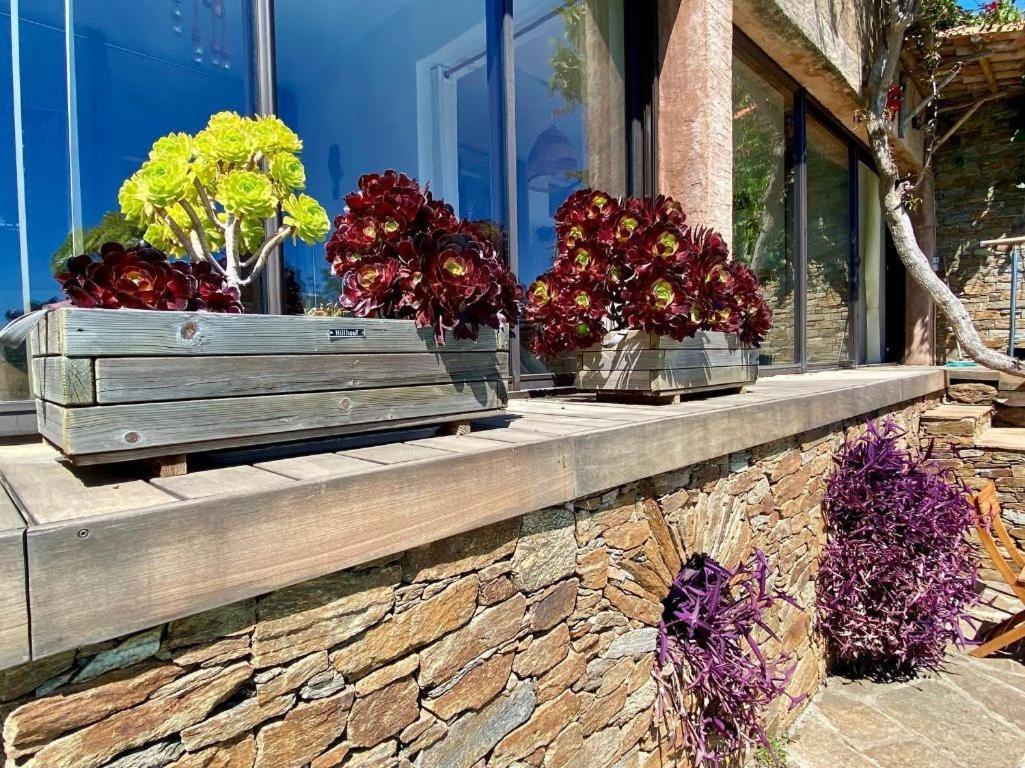Villa Les Alizes Rayol-Canadel-sur-Mer Exterior photo